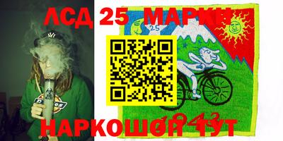 гашик Краснодар