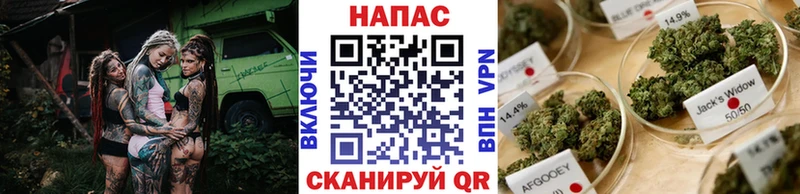 даркнет сайт  Сальск  Каннабис Ganja 
